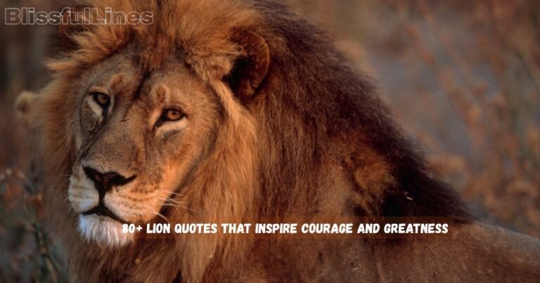 Lion Quotes