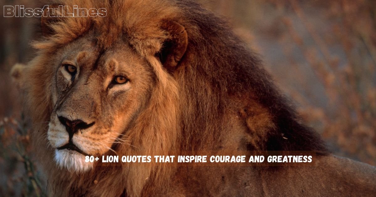 Lion Quotes